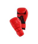 Power 300 Boxing Glove