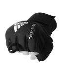 Quick Punch Wraps