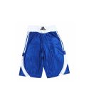 Boxing Shorts - Blue & White