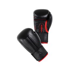 Energy 300 Boxing Glove