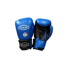 Pro Leather Boxing Glove - Blue